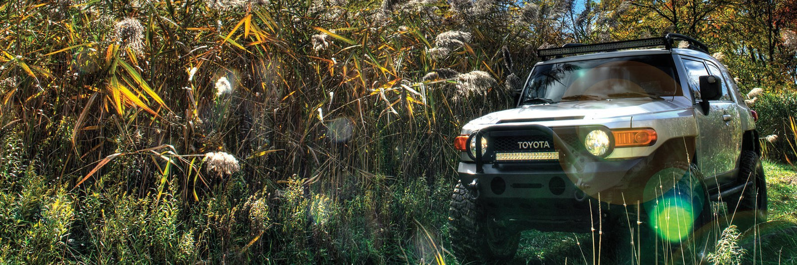 2014 Toyota FJ Cruiser 4.0L V6